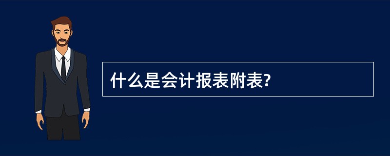 什么是会计报表附表?