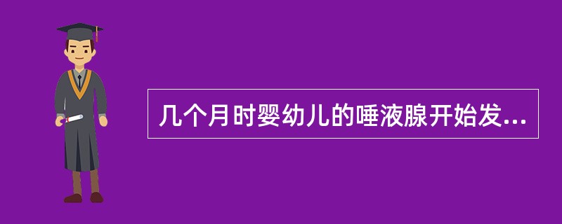 几个月时婴幼儿的唾液腺开始发育（）。