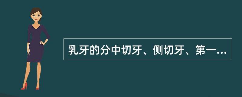 乳牙的分中切牙、侧切牙、第一乳磨牙、尖牙、第二乳磨牙五类。（）