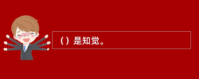 （）是知觉。