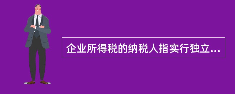 企业所得税的纳税人指实行独立经济核算的企业或者组织，主要包括（）。[2014年11月二级真题]