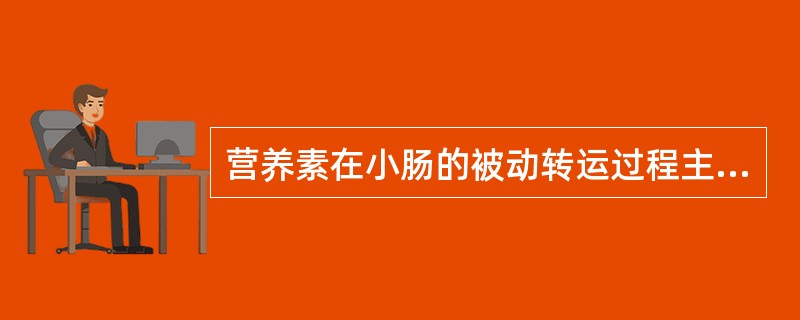 营养素在小肠的被动转运过程主要包括（　　）。