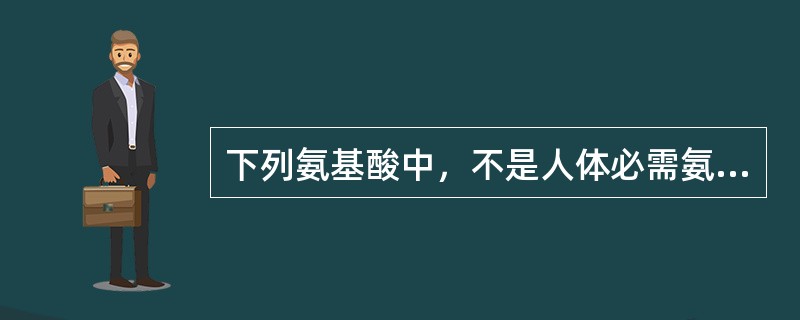 下列氨基酸中，不是人体必需氨基酸的是（　　）。