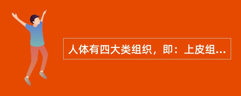 人体有四大类组织，即：上皮组织、结缔组织、肌组织、神经组织。（　　）