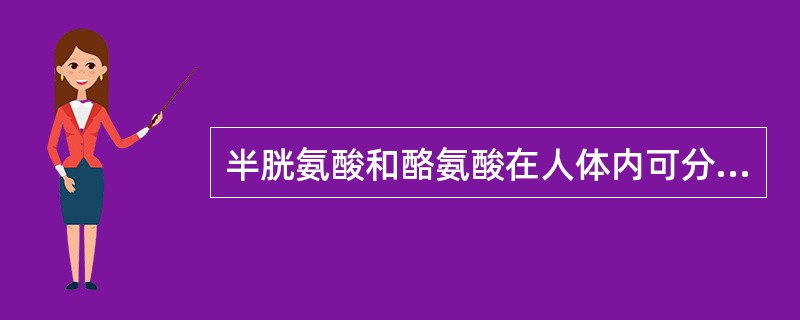 半胱氨酸和酪氨酸在人体内可分别由（　　）转变而来。