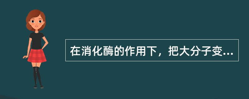 在消化酶的作用下，把大分子变成小分子，称为化学性消化。（）