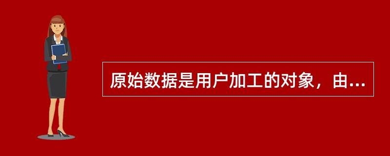 原始数据是用户加工的对象，由内部模式描述的指令操作处理的位串、字符和字组成。（）