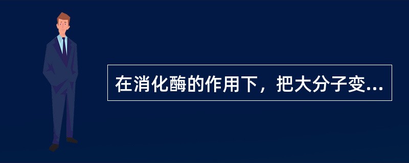 在消化酶的作用下，把大分子变成小分子，称为化学性消化。（）