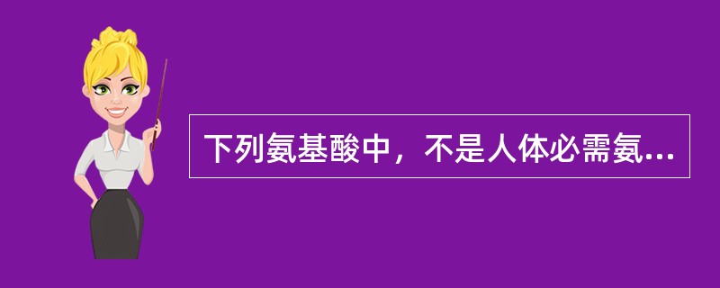 下列氨基酸中，不是人体必需氨基酸的是（）。