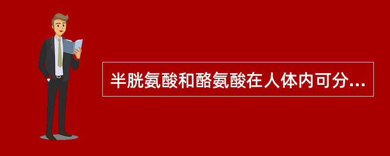 半胱氨酸和酪氨酸在人体内可分别由（）转变而来。