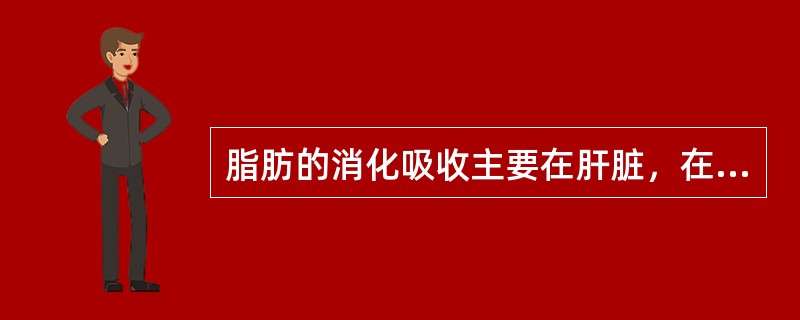 脂肪的消化吸收主要在肝脏，在脂肪酶的作用下分解为脂肪酸和甘油。（　　）