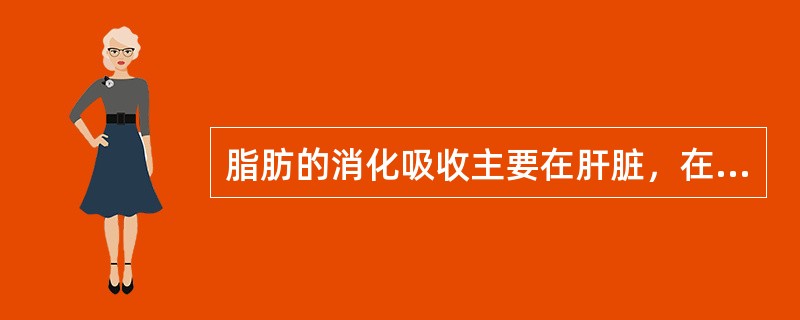 脂肪的消化吸收主要在肝脏，在脂肪酶的作用下分解为脂肪酸和甘油。（　　）