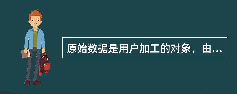 原始数据是用户加工的对象，由内部模式描述的指令操作处理的位串、字符和字组成。（　　）