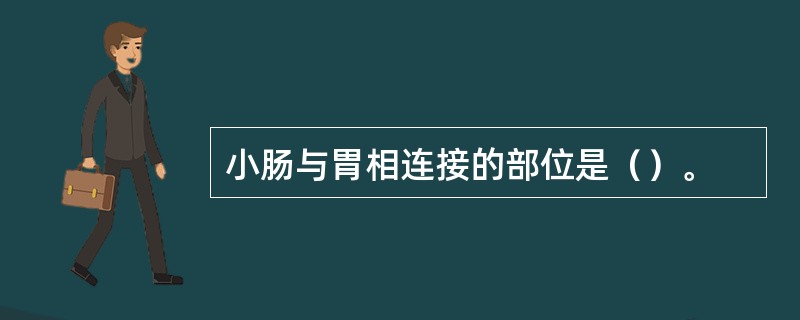 小肠与胃相连接的部位是（）。