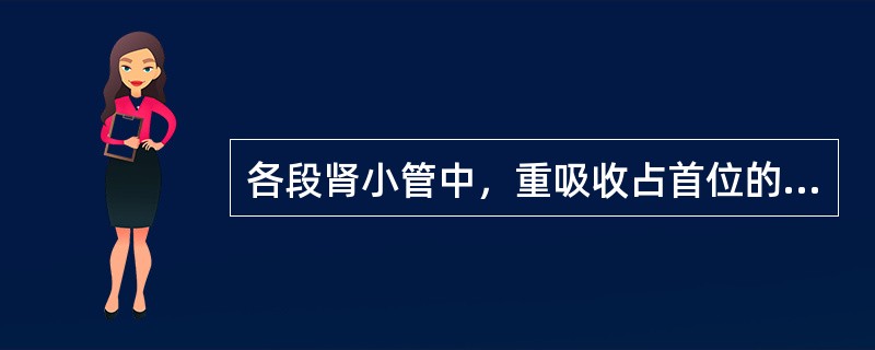 各段肾小管中，重吸收占首位的是（）