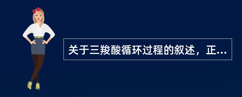 关于三羧酸循环过程的叙述，正确的是（）