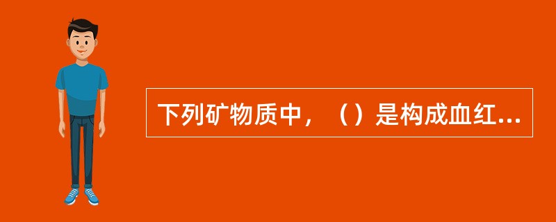 下列矿物质中，（）是构成血红蛋白的成分。