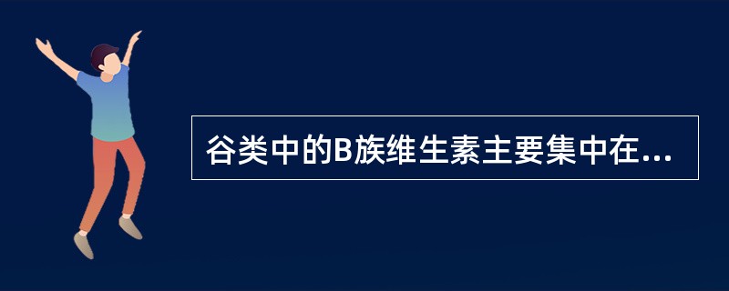 谷类中的B族维生素主要集中在（）。