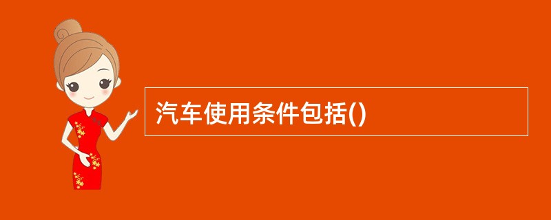 汽车使用条件包括()