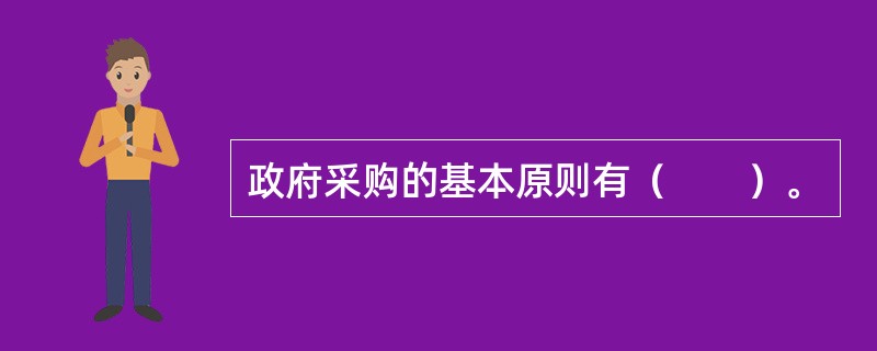 政府采购的基本原则有（　　）。