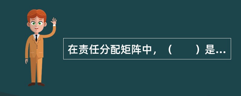 在责任分配矩阵中，（　　）是项目经理通常担当的角色与责任。