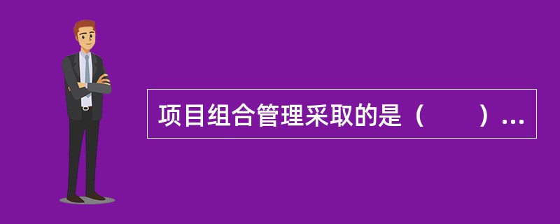 项目组合管理采取的是（　　）的管理方式。