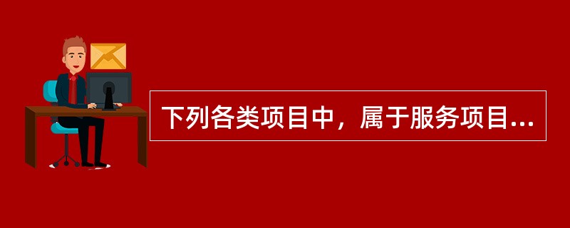 下列各类项目中，属于服务项目的有（　　）。［2009年真题］