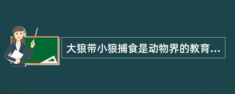 大狼带小狼捕食是动物界的教育现象。（）