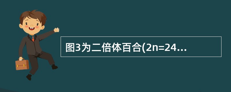 图3为二倍体百合(2n=24)减数分裂过程中的细胞图像，下列叙述正确的是()。<br /><img border="0" style="width: 4