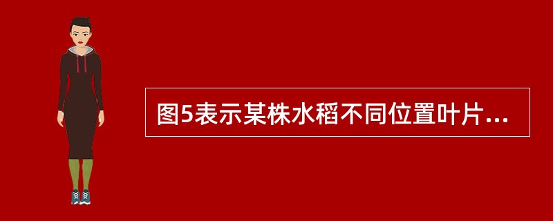 图5表示某株水稻不同位置叶片的光合速率相对值，横坐标1～10分别表示从上到下的叶片编号。<br /><img border="0" style="wid