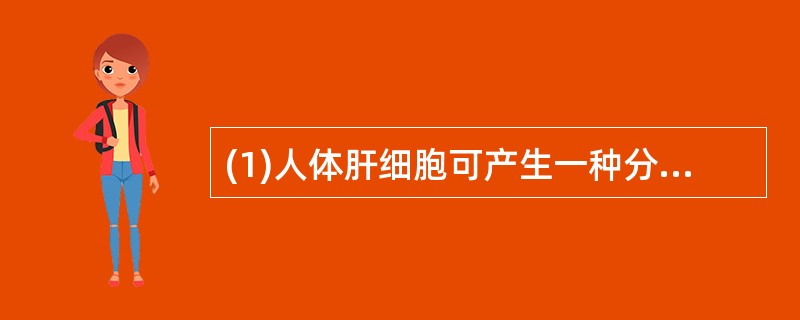 (1)人体肝细胞可产生一种分泌蛋白(称为蛋白A)，运出细胞后进入血液。已知内质网.核糖体和高尔基体参与了蛋白A的合成或运输，则这些细胞器在蛋白A合成和运输过程中行使功能的顺序是_________.__