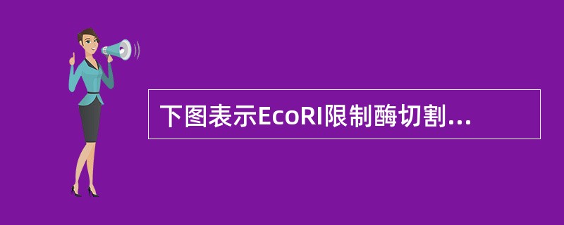 下图表示EcoRI限制酶切割某DNA的过程，该限制酶能识别的碱基序列及切点分别是（）。<br /><img border="0" style="widt
