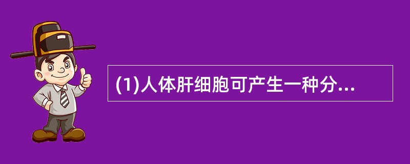 (1)人体肝细胞可产生一种分泌蛋白(称为蛋白A)，运出细胞后进入血液。已知内质网.核糖体和高尔基体参与了蛋白A的合成或运输，则这些细胞器在蛋白A合成和运输过程中行使功能的顺序是_________.__