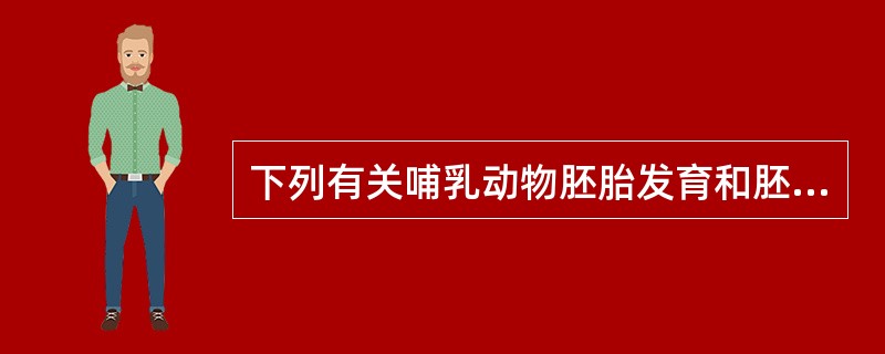 下列有关哺乳动物胚胎发育和胚胎工程的叙述，正确的是()。