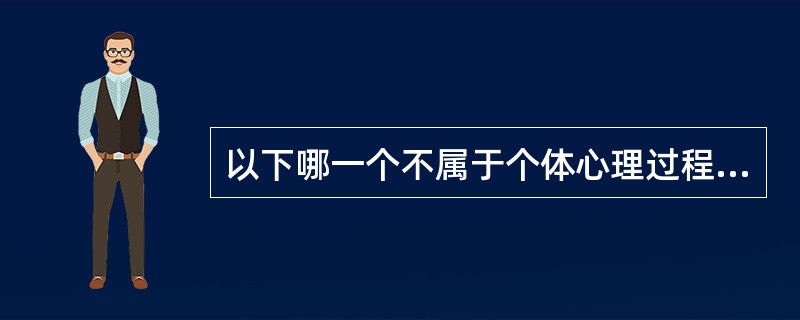 以下哪一个不属于个体心理过程（　）。
