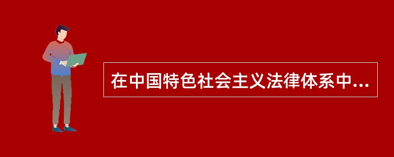 在中国特色社会主义法律体系中，宪法居于核心和统帅地位。（　）