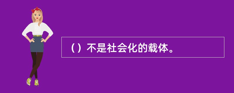 （）不是社会化的载体。