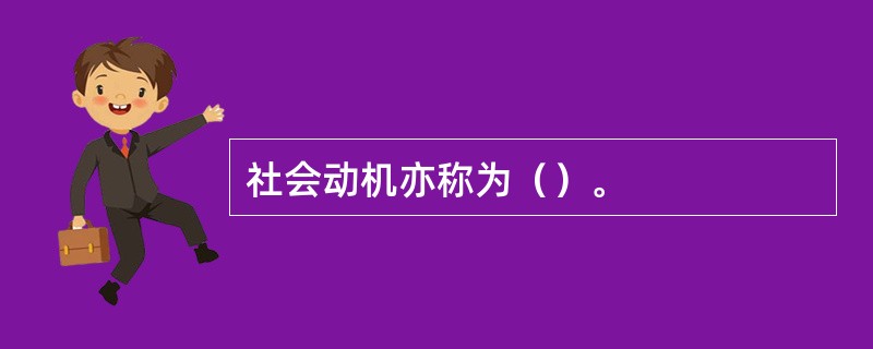 社会动机亦称为（）。