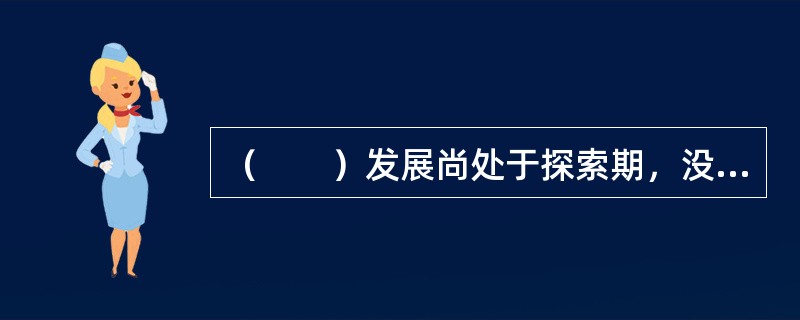 （　　）发展尚处于探索期，没有形成成熟的模式。