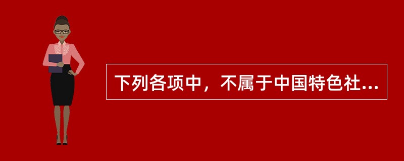 下列各项中，不属于中国特色社会主义法律体系层次的是（　　）。