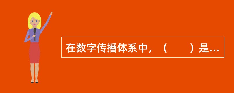 在数字传播体系中，（　　）是影响面最广、产品面最宽、竞争最为激烈的数字内容产品。