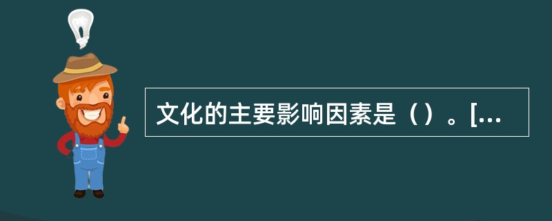 文化的主要影响因素是（）。[2007年1月真题]