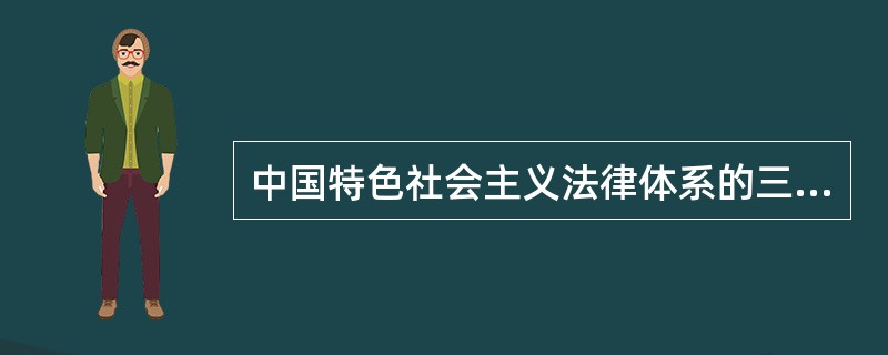 中国特色社会主义法律体系的三大层次（）。