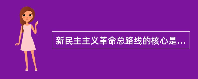 新民主主义革命总路线的核心是（）