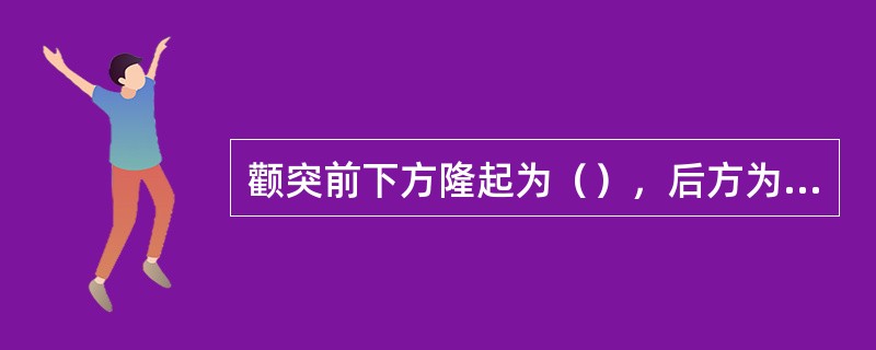 颧突前下方隆起为（），后方为（），两者之间为（），容纳（）。