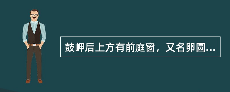 鼓岬后上方有前庭窗，又名卵圆窗，面积约（）。