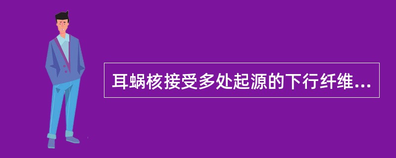 耳蜗核接受多处起源的下行纤维支配，最大支配纤维来源于（）。