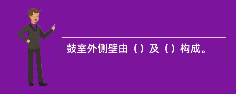 鼓室外侧壁由（）及（）构成。