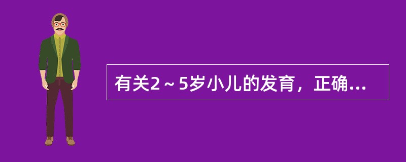 有关2～5岁小儿的发育，正确的是（）。