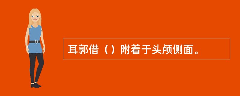 耳郭借（）附着于头颅侧面。